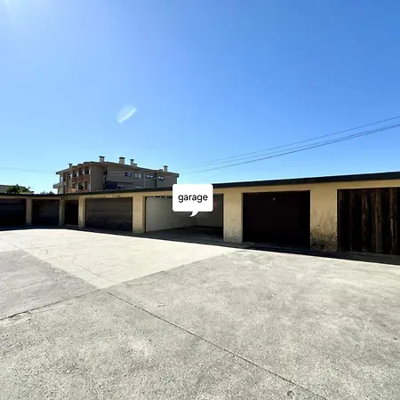 Ocean's View * Arvore