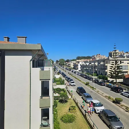 Ocean's View * Arvore